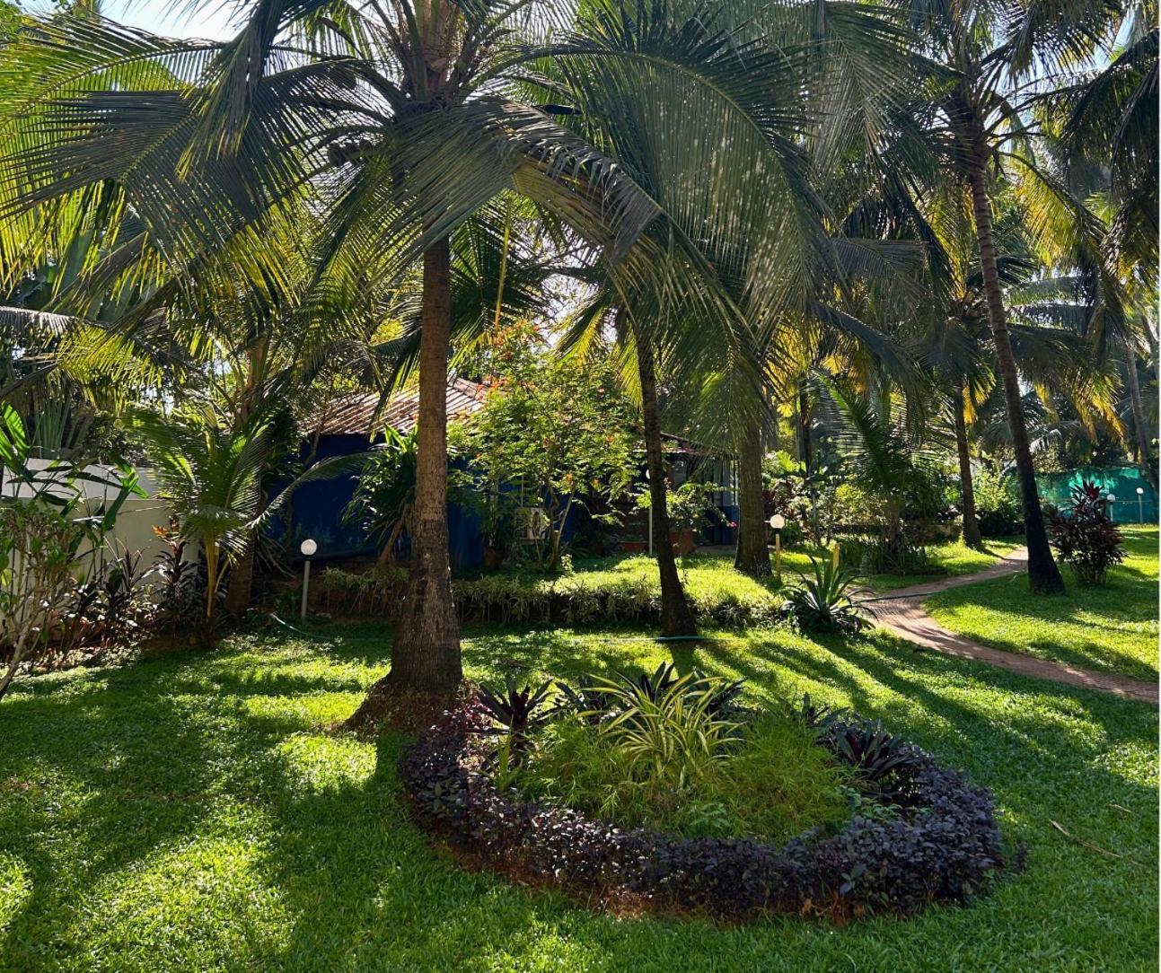 Jungle Hut-Annabelle'S Beach Apartments At Bernard Simao,Calangute,Goa كاندولِم المظهر الخارجي الصورة