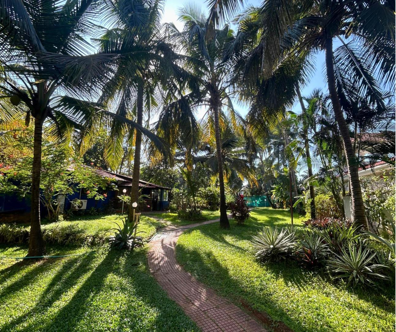 Jungle Hut-Annabelle'S Beach Apartments At Bernard Simao,Calangute,Goa كاندولِم المظهر الخارجي الصورة